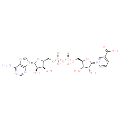 ChemSpider 2D Image | [[(2R,3S,4R,5R)-5-(6-aminopurin-9-yl)-3,4-dihydroxy-tetrahydrofuran-2-yl]methoxy-oxido-phosphoryl] [(2R,3S,4R,5R)-5-(3-carboxypyridin-1-ium-1-yl)-3,4-dihydroxy-tetrahydrofuran-2-yl]methyl phosphate | C21H25N6O15P2