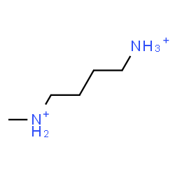 ChemSpider 2D Image | CSID:24785037 | C5H13N2