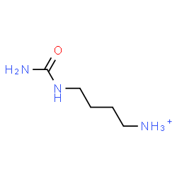 ChemSpider 2D Image | 4-(Carbamoylamino)-1-butanaminium | C5H12N3O