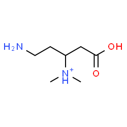 ChemSpider 2D Image | 4-Amino-1-carboxy-N,N-dimethyl-2-butanaminium | C7H17N2O2