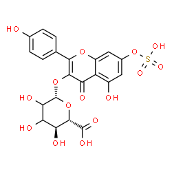 ChemSpider 2D Image | 5-Hydroxy-2-(4-hydroxyphenyl)-4-oxo-7-(sulfooxy)-4H-chromen-3-yl beta-D-erythro-hexopyranosiduronic acid | C21H18O15S