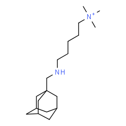 ChemSpider 2D Image | 5-[(Adamantan-1-ylmethyl)amino]-N,N,N-trimethyl-1-pentanaminium | C19H37N2