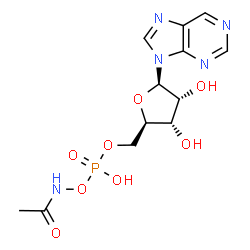 ChemSpider 2D Image | 9-{5-O-[(Acetamidooxy)(hydroxy)phosphoryl]-beta-D-ribofuranosyl}-9H-purine | C12H16N5O8P