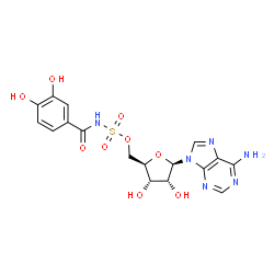 ChemSpider 2D Image | 5'-O-[(3,4-Dihydroxybenzoyl)sulfamoyl]adenosine | C17H18N6O9S