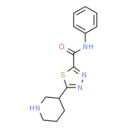 ChemSpider 2D Image | N-Phenyl-5-(3-piperidinyl)-1,3,4-thiadiazole-2-carboxamide | C14H16N4OS