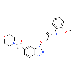 ChemSpider 2D Image | N-(2-Methoxyphenyl)-2-{[6-(4-morpholinylsulfonyl)-1H-benzotriazol-1-yl]oxy}acetamide | C19H21N5O6S