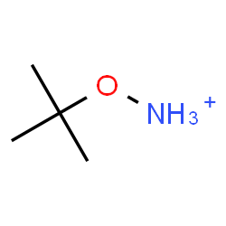 ChemSpider 2D Image | [(2-Methyl-2-propanyl)oxy]ammonium | C4H12NO