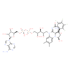 ChemSpider 2D Image | [(2R,3S,4R,5R)-5-(6-amino-9H-purin-9-yl)-3,4-dihydroxytetrahydrofuran-2-yl]methyl (2R,3S,4S)-2,3,4-trihydroxy-5-[(1R,3R,3as)-1-hydroxy-10,11-dimethyl-4,6-dioxo-3-(pentafluorophenyl)-2,3,5,6-tetrahydro-1H-benzo[g]pyrrolo[2,1-E]pteridin-8(4H)-yl]pentyl | C36H38F5N9O16P2