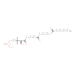 ChemSpider 2D Image | S-[2-({N-[(2S)-2-Hydroxy-4-{[hydroxy(oxido)phosphoranyl]oxy}-3,3-dimethylbutanoyl]-beta-alanyl}amino)ethyl] hexanethioate | C17H33N2O7PS