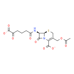 ChemSpider 2D Image | (6R,7R)-3-(Acetoxymethyl)-7-[(5-carboxylato-5-oxopentanoyl)amino]-8-oxo-5-thia-1-azabicyclo[4.2.0]oct-2-ene-2-carboxylate | C16H16N2O9S