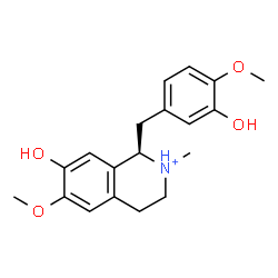 ChemSpider 2D Image | (1R)-7-Hydroxy-1-(3-hydroxy-4-methoxybenzyl)-6-methoxy-2-methyl-1,2,3,4-tetrahydroisoquinolinium | C19H24NO4