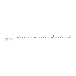 ChemSpider 2D Image | Diphosphoric acid, mono[(2E,6E,10E,14E,18E,22E)-3,7,11,15,19,23,27-heptamethyl-2,6,10,14,18,22,26-octacosaheptaen-1-yl] ester, ion(3-) | C35H57O7P2