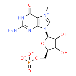 ChemSpider 2D Image | 7-Methyl-5'-O-phosphonatoguanosine | C11H15N5O8P