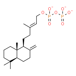 ChemSpider 2D Image | Diphosphoric acid, mono[(2E)-5-[(1S,4aS,8aS)-decahydro-5,5,8a-trimethyl-2-methylene-1-naphthalenyl]-3-methyl-2-penten-1-yl] ester, ion(3-) | C20H33O7P2