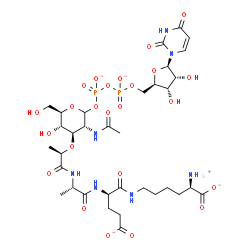 ChemSpider 2D Image | (2R)-6-{[(2R)-2-{[(2S)-2-{[(2R)-2-{[(3R,4R,5S,6R)-3-Acetamido-2-({[({[(2R,3S,4R,5R)-5-(2,4-dioxo-3,4-dihydro-1(2H)-pyrimidinyl)-3,4-dihydroxytetrahydro-2-furanyl]methoxy}phosphinato)oxy]phosphinato}ox
y)-5-hydroxy-6-(hydroxymethyl)tetrahydro-2H-pyran-4-yl]oxy}propanoyl]amino}propanoyl]amino}-4-carboxylatobutanoyl]amino}-2-ammoniohexanoate | C34H52N7O24P2