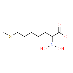 ChemSpider 2D Image | 2-(Dihydroxyamino)-7-(methylsulfanyl)heptanoate | C8H16NO4S