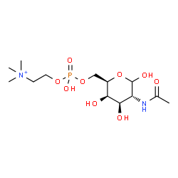 ChemSpider 2D Image | 2-Acetamido-2-deoxy-6-O-{hydroxy[2-(trimethylammonio)ethoxy]phosphoryl}-D-galactopyranose | C13H28N2O9P