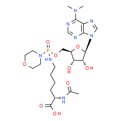 ChemSpider 2D Image | alpha-N-acetyllysine-N(6),N(6)-dimethyladenosine 5'-phosphomorpholidate | C24H39N8O9P