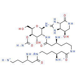 ChemSpider 2D Image | (4S)-6-{[(4S)-4-Ammonio-6-{[(4S)-4-ammonio-6-{[(2R,3R,4S,5R,6R)-5-(carbamoyloxy)-4-hydroxy-6-(hydroxymethyl)-2-{[(3aS,7R,7aS)-7-hydroxy-4-oxo-3a,4,5,6,7,7a-hexahydro-1H-imidazo[4,5-c]pyridin-2-yl]ammo
nio}tetrahydro-2H-pyran-3-yl]amino}-6-oxohexyl]amino}-6-oxohexyl]amino}-6-oxo-1,4-hexanediaminium | C31H63N12O10