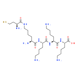 ChemSpider 2D Image | N~6~-(L-Homocysteyl)-L-lysyl-L-lysyl-L-lysyl-L-lysine | C28H57N9O6S