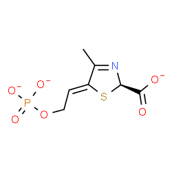 ChemSpider 2D Image | (2R,5Z)-4-Methyl-5-[2-(phosphonatooxy)ethylidene]-2,5-dihydro-1,3-thiazole-2-carboxylate | C7H7NO6PS