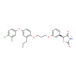 ChemSpider 2D Image | (5S)-5-(3-{3-[4-(4-Chloro-3-methylphenoxy)-2-propylphenoxy]propoxy}phenyl)-1,3-thiazolidine-2,4-dione | C28H28ClNO5S