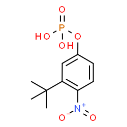 ChemSpider 2D Image | 3-(2-Methyl-2-propanyl)-4-nitrophenyl dihydrogen phosphate | C10H14NO6P