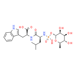 ChemSpider 2D Image | (2S)-2-({(2S)-2-[(Hydroxy{[(2R,3S,4S,5S,6R)-3,4,5-trihydroxy-6-methyltetrahydro-2H-pyran-2-yl]oxy}phosphoryl)amino]-4-methylpentanoyl}amino)-3-(1H-indol-3-yl)propanoic acid | C23H34N3O10P