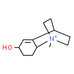 ChemSpider 2D Image | 5-Hydroxy-1-methyl-1-azoniatricyclo[6.2.2.0~2,7~]dodec-6-ene | C12H20NO