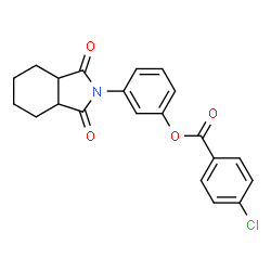 ChemSpider 2D Image | 3-(1,3-Dioxooctahydro-2H-isoindol-2-yl)phenyl 4-chlorobenzoate | C21H18ClNO4