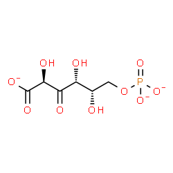 ChemSpider 2D Image | 3-Dehydro-L-gulonate 6-phosphate | C6H8O10P
