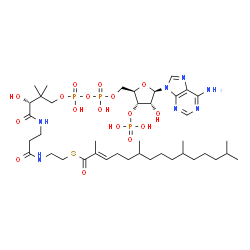 ChemSpider 2D Image | (E)-2,3-didehydropristanoyl-CoA | C40H70N7O17P3S