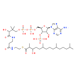 ChemSpider 2D Image | 3-hydroxypristanoyl-CoA | C40H72N7O18P3S
