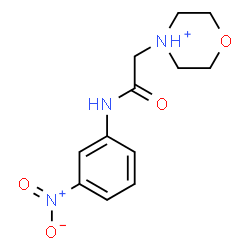 ChemSpider 2D Image | 4-{2-[(3-Nitrophenyl)amino]-2-oxoethyl}morpholin-4-ium | C12H16N3O4