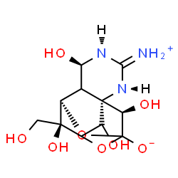 ChemSpider 2D Image | (1S,5R,7R,12R,13R,14S)-5,12,13,14-Tetrahydroxy-14-(hydroxymethyl)-3-iminio-8,10-dioxa-2,4-diazatetracyclo[7.3.1.1~7,11~.0~1,6~]tetradecan-9-olate | C11H17N3O8