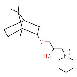 ChemSpider 2D Image | 1-{2-Hydroxy-3-[(1,7,7-trimethylbicyclo[2.2.1]hept-2-yl)oxy]propyl}-1-methylpiperidinium | C19H36NO2