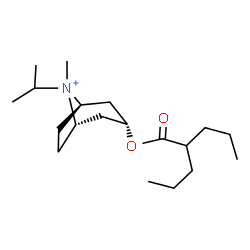 ChemSpider 2D Image | (3-endo)-8-Isopropyl-8-methyl-3-[(2-propylpentanoyl)oxy]-8-azoniabicyclo[3.2.1]octane | C19H36NO2
