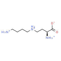ChemSpider 2D Image | (2S)-2-Ammonio-4-[(4-ammoniobutyl)ammonio]butanoate | C8H21N3O2