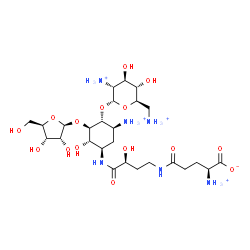 ChemSpider 2D Image | (2S)-2-Ammonio-5-{[(3S)-4-{[(1R,2S,3R,4R,5S)-5-ammonio-4-[(2,6-diammonio-2,6-dideoxy-alpha-D-glucopyranosyl)oxy]-2-hydroxy-3-(beta-D-ribofuranosyloxy)cyclohexyl]amino}-3-hydroxy-4-oxobutyl]amino}-5-ox
opentanoate | C26H51N6O15