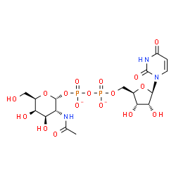 ChemSpider 2D Image | [(2R,3R,4R,5R,6R)-3-acetamido-4,5-dihydroxy-6-(hydroxymethyl)tetrahydropyran-2-yl] [[(2R,3S,4R,5R)-5-(2,4-dioxopyrimidin-1-yl)-3,4-dihydroxy-tetrahydrofuran-2-yl]methoxy-oxido-phosphoryl] phosphate | C17H25N3O17P2