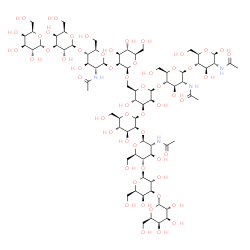 ChemSpider 2D Image | alpha-D-Galactopyranosyl-(1->3)-beta-D-galactopyranosyl-(1->4)-2-acetamido-2-deoxy-beta-D-glucopyranosyl-(1->2)-beta-D-mannopyranosyl-(1->3)-[alpha-D-galactopyranosyl-(1->3)-beta-D-galactopyranosyl-(1
->4)-2-acetamido-2-deoxy-beta-D-glucopyranosyl-(1->2)-beta-D-mannopyranosyl-(1->6)]-beta-D-mannopyranosyl-(1->4)-2-acetamido-2-deoxy-beta-D-glucopyranosyl-(1->4)-2-acetamido-2-deoxy-beta-D-glucopyrano
se | C74H124N4O56