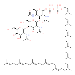 ChemSpider 2D Image | 2-Acetamido-2-deoxy-alpha-D-galactopyranosyl-(1->4)-2-acetamido-2-deoxy-alpha-D-galactopyranosyl-(1->3)-2,4-diacetamido-2,4,6-trideoxy-1-O-{hydroxy[(hydroxy{[(2Z,6Z,10Z,14Z,18Z,22Z,26Z,30E,34E,38E)-3,
7,11,15,19,23,27,31,35,39,43-undecamethyl-2,6,10,14,18,22,26,30,34,38,42-tetratetracontaundecaen-1-yl]oxy}phosphoryl)oxy]phosphoryl}-alpha-D-glucopyranose | C81H134N4O21P2