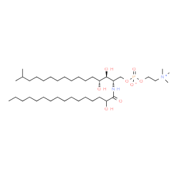 ChemSpider 2D Image | N-(2-hydroxyhexadecanoyl)-4-hydroxy-15-methylhexadecasphinganine-1-phosphocholine | C38H79N2O8P