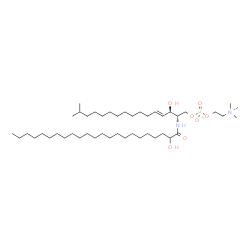 ChemSpider 2D Image | N-(2-hydroxytricosanoyl)-15-methylhexadecasphing-4-enine-1-phosphocholine | C45H91N2O7P