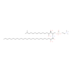 ChemSpider 2D Image | N-(2-hydroxyhexacosanoyl)-4-hydroxy-15-methylhexadecasphinganine-1-phosphocholine | C48H99N2O8P