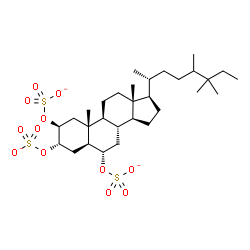 ChemSpider 2D Image | (2S,3S,5S,6S,8S,9S,10R,13R,14S,17R)-10,13-Dimethyl-17-[(2R)-5,6,6-trimethyl-2-octanyl]hexadecahydro-1H-cyclopenta[a]phenanthrene-2,3,6-triyl trisulfate | C30H51O12S3