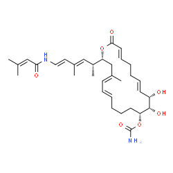 ChemSpider 2D Image | (3E,7E,9S,10S,11R,15E,17E,20R)-9,10-Dihydroxy-18-methyl-20-{(2R,3E,5E)-4-methyl-6-[(3-methyl-2-butenoyl)amino]-3,5-hexadien-2-yl}-2-oxooxacycloicosa-3,7,15,17-tetraen-11-yl carbamate | C33H48N2O7