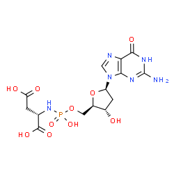 ChemSpider 2D Image | (2S)-2-{[{[(2R,3S,5R)-5-(2-Amino-6-oxo-1,6-dihydro-9H-purin-9-yl)-3-hydroxytetrahydro-2-furanyl]methoxy}(hydroxy)phosphoryl]amino}succinic acid | C14H19N6O10P