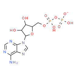 ChemSpider 2D Image | 9-(5-O-{Hydroxy[(hydroxyphosphinato)oxy]phosphoryl}pentofuranosyl)-9H-purin-6-amine | C10H14N5O10P2