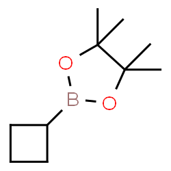 ChemSpider 2D Image | 2-Cyclobutyl-4,4,5,5-tetramethyl-1,3,2-dioxaborolane | C10H19BO2